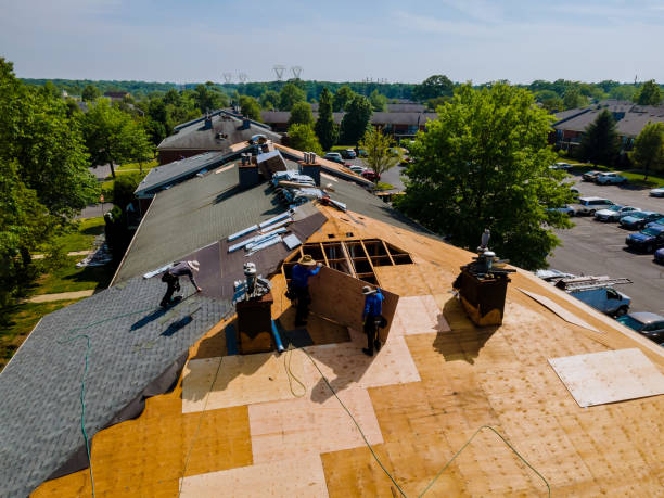 Trusted Storm Damage Roof Repair service in Garysburg, NC - Brentwood Metal Roofing